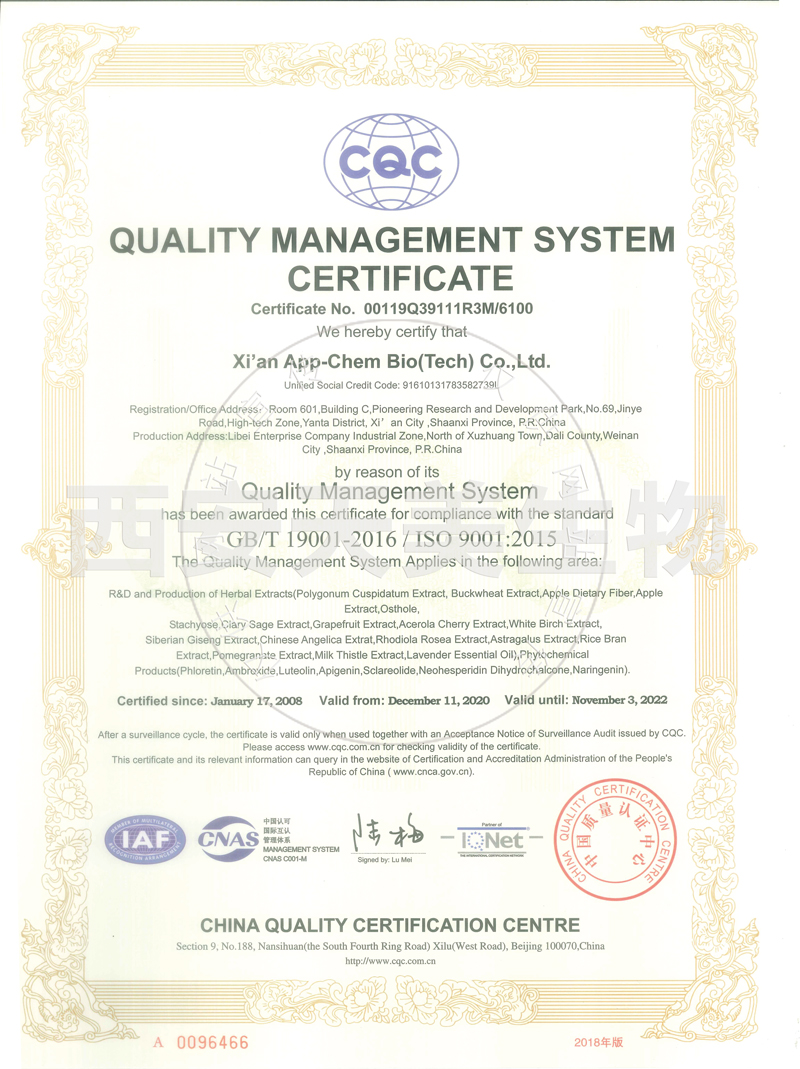 ISO9001_英文